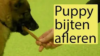 Puppy bijten afleren - Brokken & Zo