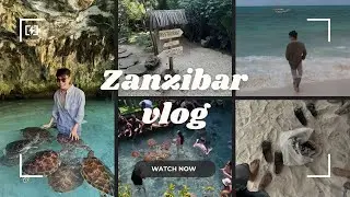 ZANZIBAR🇹🇿 🌊✨ Beach Adventures, Hidden Caves & Turtle Feeding! 🐢🏝️