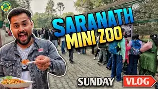 SARNATH MINI ZOO 😲 | Sunday Special Vlog | Varanasi