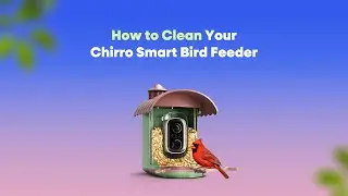 How to Clean the Pawmendous Chirro Smart Bird Feeder | Easy Maintenance Tips