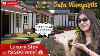 Most Affordable Stay near Sula! Just ₹2500! 😱 #sulavineyards #nashik #hotelreview #resorts