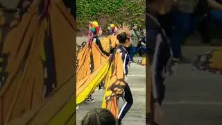 #parade #shortvideo #shorts #short #youtubeshorts #norwalk #trending #ytshorts #butterfly #trending