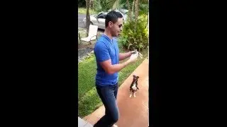 Esposo Ve Colores Por Primera Vez | Husband Sees Colors For The First Time - EnChroma