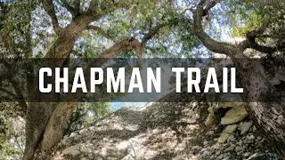 My Favorite Section of the Chapman Trail in Mount Baldy, CA | San Gabriel Mountains | Backpacking
