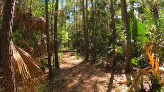 Mill Creek Trail