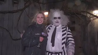 Haunted Hollow: Enter if You Dare