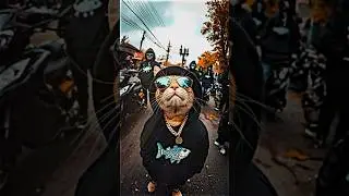 𝐃𝐉 𝐀𝐊𝐈𝐌𝐈𝐋𝐀𝐊𝐔 𝐑𝐄𝐌𝐈𝐗) ||[𝐍𝐄𝐖 𝐓𝐑𝐄𝐍𝐃] 𝐀𝐋𝐈𝐆𝐇𝐓𝐌𝐎𝐓𝐈𝐎𝐍 𝐗𝐌𝐋 𝐅𝐈𝐋𝐄🔰✅#xml #alightmotion