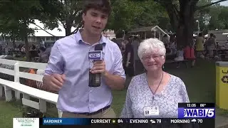 Blueberry Festival