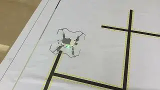 Litebee wing drone with electromagnet delivery + Line tracking+ Go through ring obstacle function~