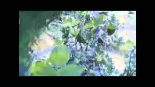 Listen Little Man - Flesh to soul HD