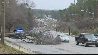 January weather recap