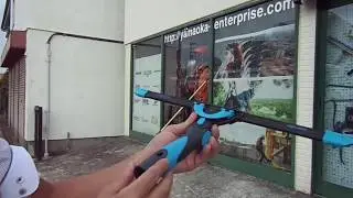 MAH00929
