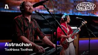 Astrachan - Toothless Toothes | Audiotree Live (Chicago Selects)