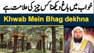 khwab mein bagh dekhna | sapne me bagh dekhna | seeing tiger in dream | khwab ki tabeer | Dream
