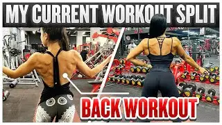 My Current Workout Split | Back & Chest Workout In The Best Gym In Dubai
