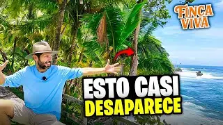 Esto Casi Desaparece En Costa Rica: Frutas Silvestres, Playa Y Vida Natural