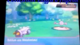 Pok&egrave;mon ZaffiroAlpha\Ep.10/Percorso 116!
