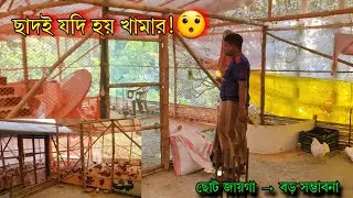 ছাদের খামার থেকে মাসিক আয় লাখ টাকা?😯 | Rooftop Smart Farming Idea