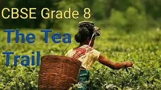 CBSE Grade 8 #The Tea Trail#