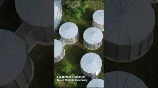 The Perfect Bird Lovers Getaway