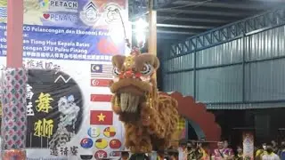 Acrobatic Lion Dance