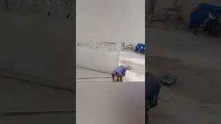 ADMC obra 27 de setembro de 2024