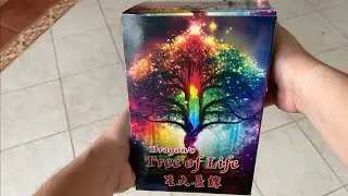 Dragon Fireworks - Dragon's Tree of Life | 16 Shots (Christmas 2025)