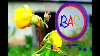 Gaslight by RYYZN bad time English song(bac):BEST AUDIO COLLECTION