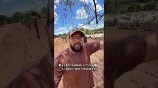 Mais leite, mais GMD, mais fertilidade, mais precocidade tudo isso com uma boa comida!