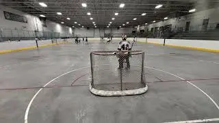 Ball Hockey Goalie Save Compilation: Mic'd Up (July 29, 2025)
