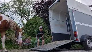 July challenge with Ryan Rose Horsemanship - full movie