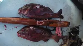 MDB Spearfishing Hawaii 4