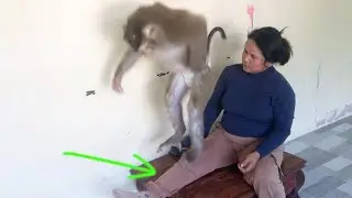 Jason Lively Stomp Feet Mom To Excuse Take Off Socks