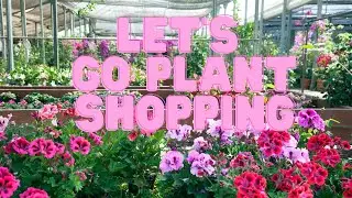 Garden Center Tour: Let's Go Spring Plant Shopping!
