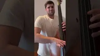 Anatole in Bb with double Bass #music #jazz #2025 #nhop