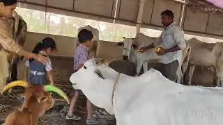 Field trip to kids