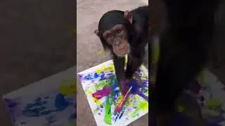 Chimpanzee painting a masterpiece