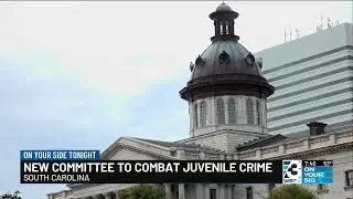 New committee to combat juvenile crime in South Carolina