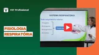 Você conhece as estruturas que participam das trocas gasosas?