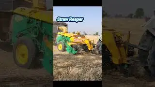 LIVE STRAW REAPING #punjab #wheat #straw #cuttingskills  #agriculture #waste #management #sell #earn