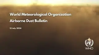 WMO Airborne Dust Bulletin - En - July 2024