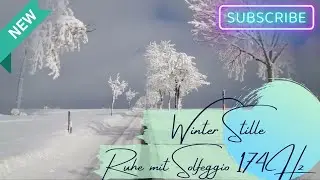 Winterstille, Winter Idylle, Ruhe, Entspannung, Stille, in sich kehren, Winter, Schnee