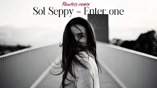 Sol Seppy - enter one (Flawless remix)