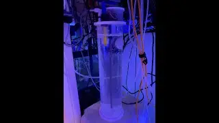 Avast Marine Kalk Stirrer Initial Review