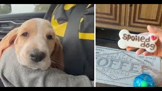 He is One Year Old