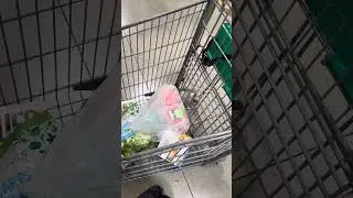 Day and life of Toya , Instacart shopper ￼