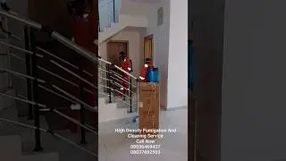 High Density Fumigation And Cleaning Service Expert Company