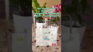 #коралклуб #коралмайн Начни с воды . Для заказа WA 89881297029 . Доставка по всей России.