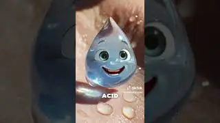animated facts #funny  #memes  #food  #comedy  #cartoon