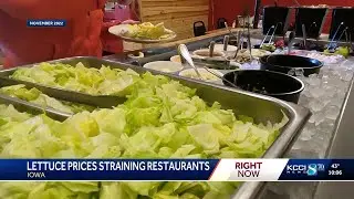 Iowa restaurant stops serving salads amid skyrocketing lettuce costs